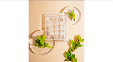 Zhejiang Chemicals Import & Export