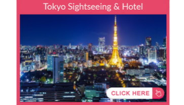 Tokyo Sightseeing
